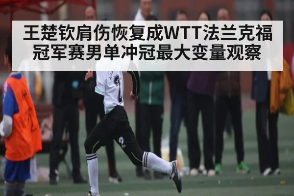 王楚钦肩伤恢复成WTT法兰克福冠军赛男单冲冠最大变量观察（c7entertainment）